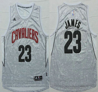 Men's Cleveland Cavaliers #23 LeBron James Revolution 30 Swingman 2014 New Gray Jersey