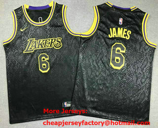 Youth Los Angeles Lakers #6 LeBron James Black City Icon Swingman Jersey